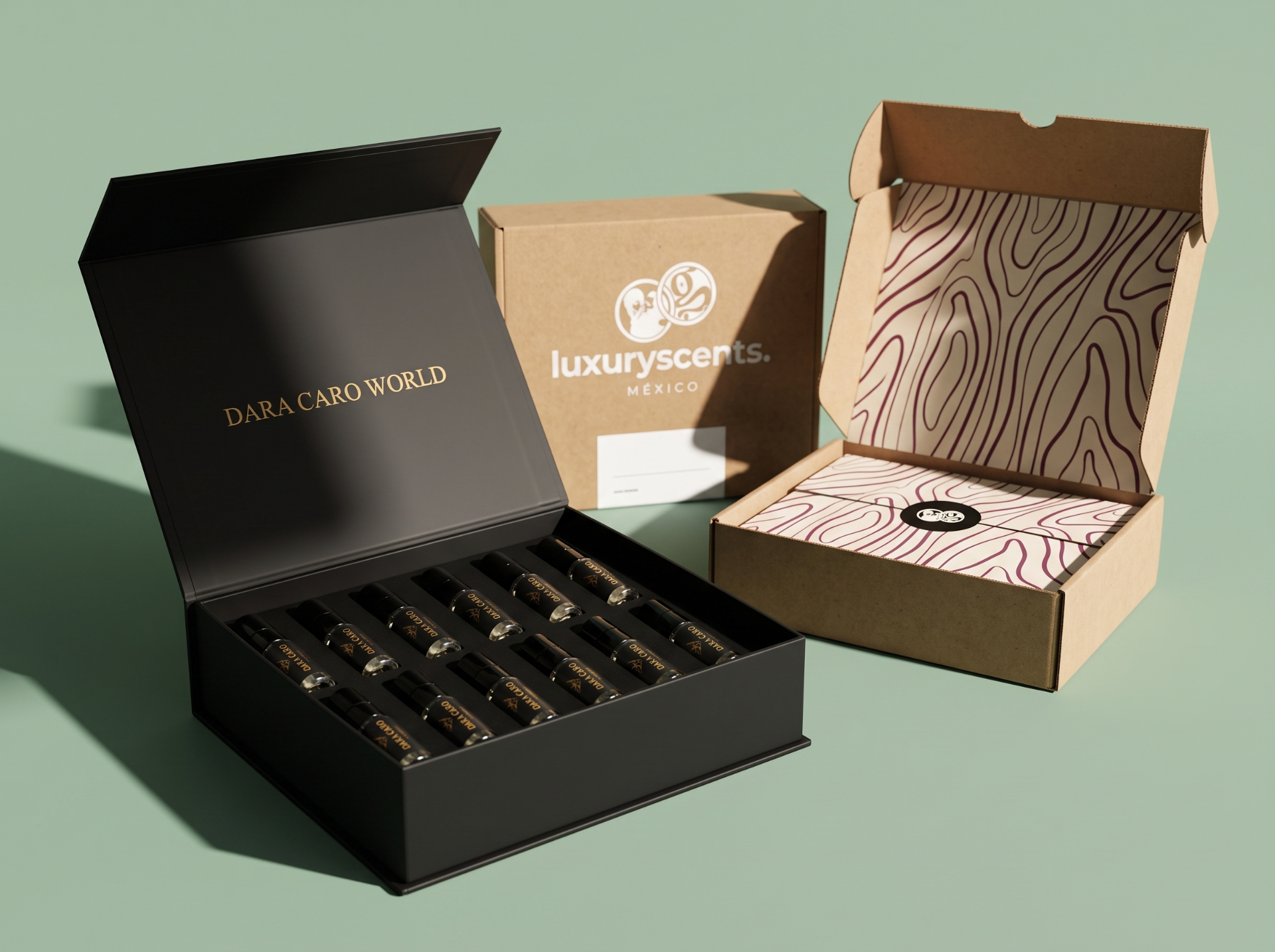 Discovery Set Dara Caro